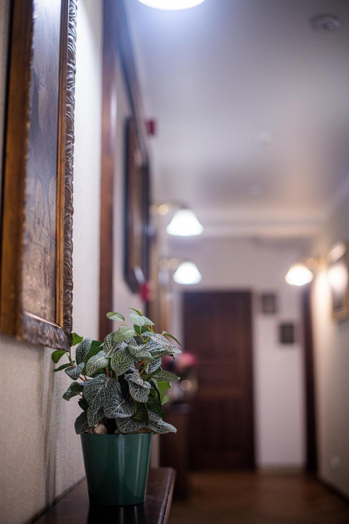 Pensiunea Nora Prestige&Prestige Art Timişoara Exterior foto